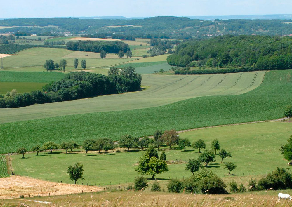 visite vitrimont 03